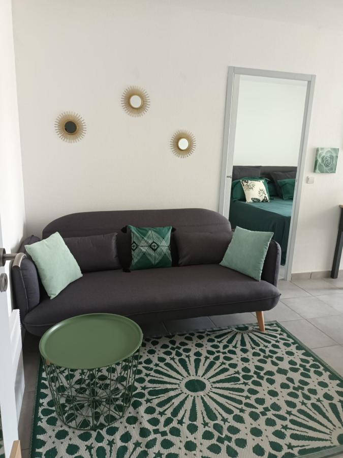 Superbe Appartement Et Parking Proche Du Centre Du Monde 페르피냥 외부 사진